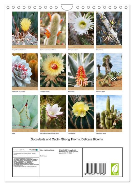 Produktbild: Succulents and Cacti - Strong Thorns, Delicate Blooms (Wall Calendar 2026 DIN A4 portrait), CALVENDO 12 Month Wall Calendar