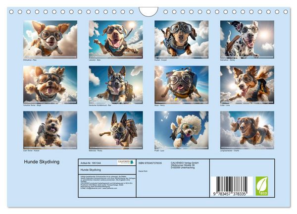 Produktbild: Hunde Skydiving (Wandkalender 2026 DIN A4 quer), CALVENDO Monatskalender