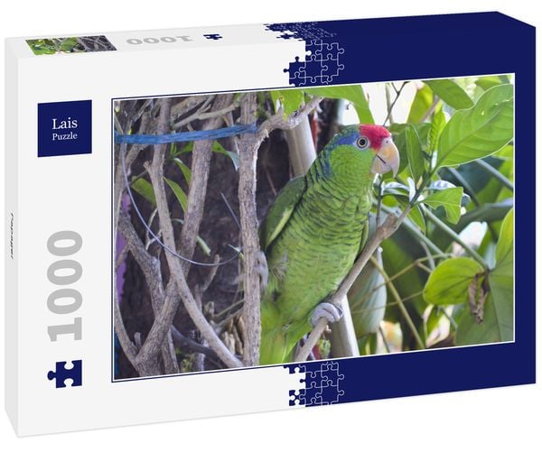 Produktbild: Lais Puzzle Papagei 1000 Teile