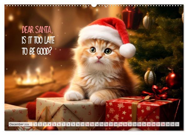 Produktbild: WITTY CATS Cool sayings (Wall Calendar 2026 DIN A2 landscape), CALVENDO 12 Month Wall Calendar