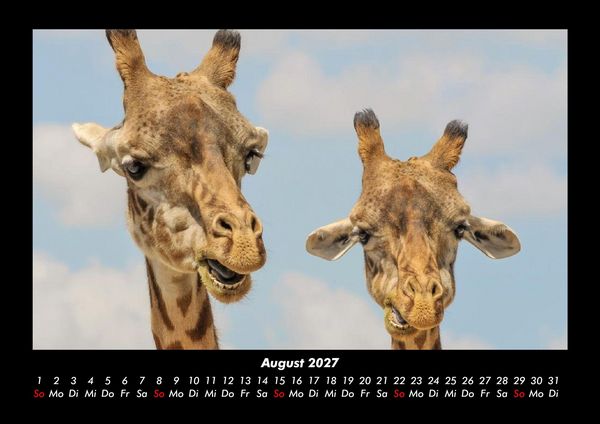 Produktbild: Tierkalender 2027 Fotokalender DIN A3