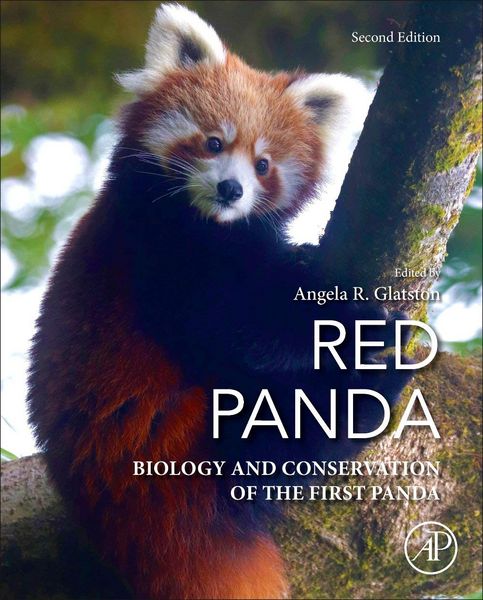 Produktbild: Red Panda