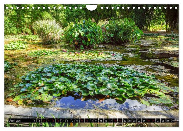 Produktbild: Botanischer Garten Palermo (Wandkalender 2026 DIN A4 quer), CALVENDO Monatskalender