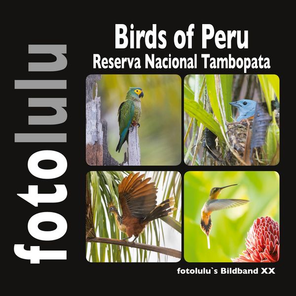 Produktbild: Birds of Peru