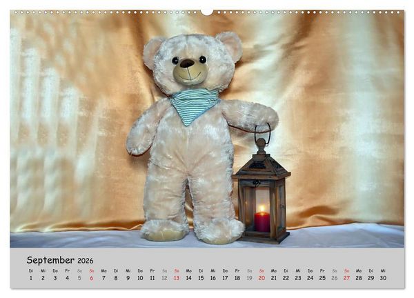 Produktbild: TEDDYB&Auml;R, OH TEDDYB&Auml;R... (hochwertiger Premium Wandkalender 2026 DIN A2 quer), Kunstdruck in Hochglanz