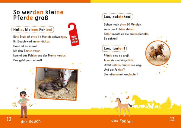Produktbild: Dein Lesestart: Wei&szlig;t du schon alles &uuml;ber Pferde? Ab 1. Klasse
