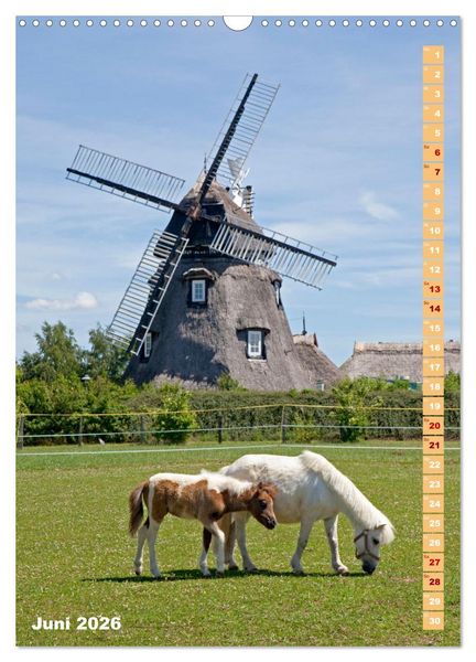 Produktbild: Deutschlands historische Windm&uuml;hlen (Wandkalender 2026 DIN A3 hoch), CALVENDO Monatskalender