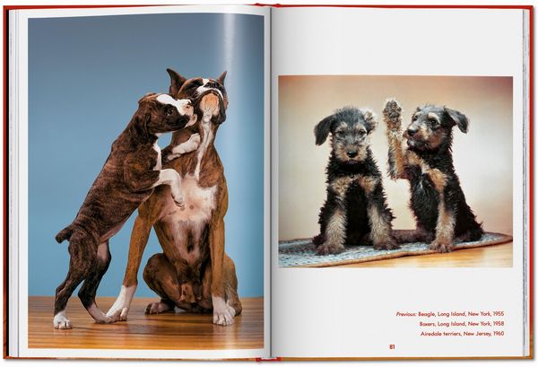 Produktbild: Walter Chandoha. Dogs. Photographs 1941&ndash;1991