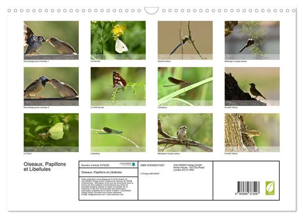 Produktbild: Oiseaux, Papillons et Libellules (Calendrier mural 2027 DIN A3 vertical), CALVENDO calendrier mensuel