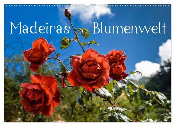 Produktbild: Madeiras Blumenwelt (Wandkalender 2027 DIN A2 quer), CALVENDO Monatskalender