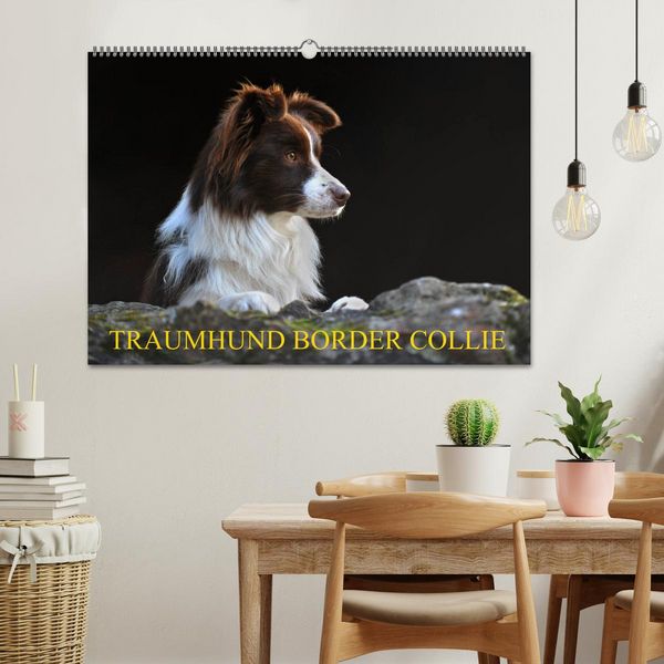 Produktbild: Traumhund Border Collie (Wandkalender 2026 DIN A2 quer), CALVENDO Monatskalender