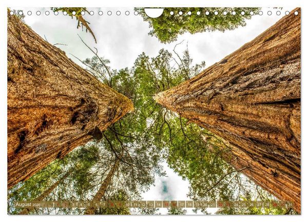 Produktbild: Atemberaubendes Amerika - Die sch&ouml;nsten Nationalparks im Westen der USA (Wandkalender 2026 DIN A4 quer), CALVENDO Monatskalender
