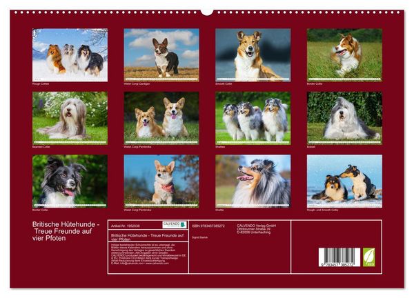 Produktbild: Britische H&uuml;tehunde - Treue Freunde auf vier Pfoten (hochwertiger Premium Wandkalender 2026 DIN A2 quer), Kunstdruck in Hochglanz