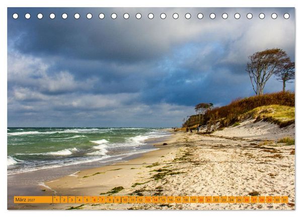 Produktbild: Wilder Dar&szlig;er Weststrand (Tischkalender 2027 DIN A5 quer), CALVENDO Monatskalender