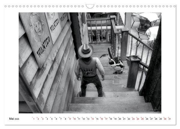 Produktbild: Pinguine privat (Wandkalender 2026 DIN A3 quer), CALVENDO Monatskalender