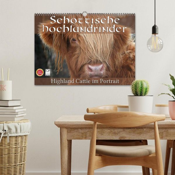 Produktbild: Schottische Hochlandrinder - Highland Cattle im Portrait (Wandkalender 2026 DIN A3 quer), CALVENDO Monatskalender