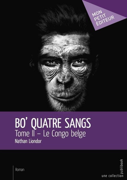 Produktbild: Bo quatre sangs - tome 2