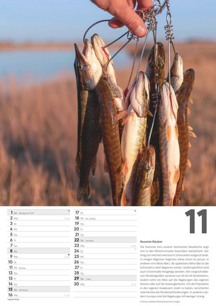 Produktbild: Der große Angelkalender 2026 - Bildkalender A3 (29,7x42 cm) - mit vielen Zusatzinformationen aus der Anglerwelt und Platz für Notizen - Wandkalender