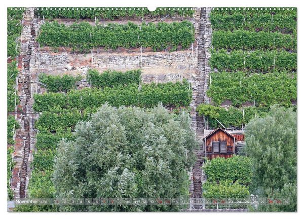 Produktbild: Weinbergh&auml;uschen - Schutz- und Werkzeughaus f&uuml;r den Weing&auml;rtner (hochwertiger Premium Wandkalender 2026 DIN A2 quer), Kunstdruck in Hochglanz