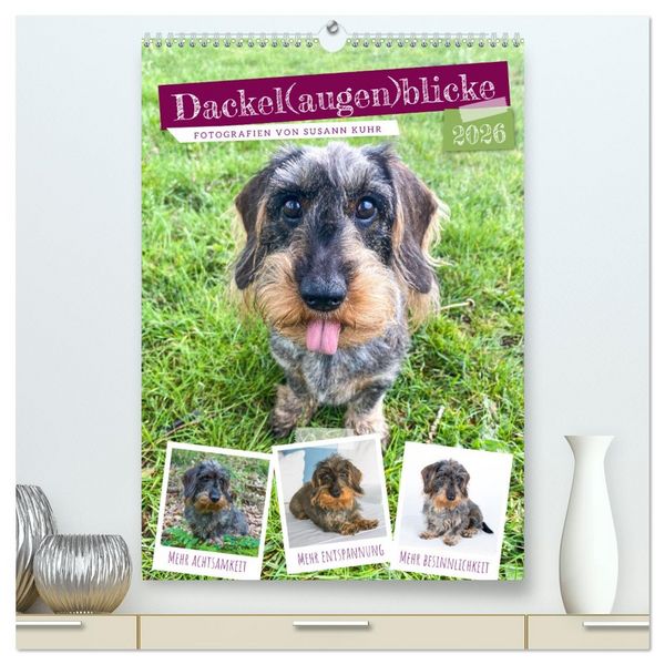 Dackel(augen)blicke (hochwertiger Premium Wandkalender 2026 DIN A2 hoch), Kunstdruck in Hochglanz