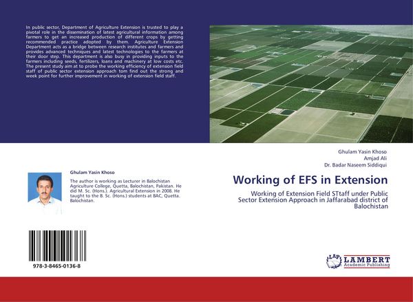 Produktbild: Working of EFS in Extension