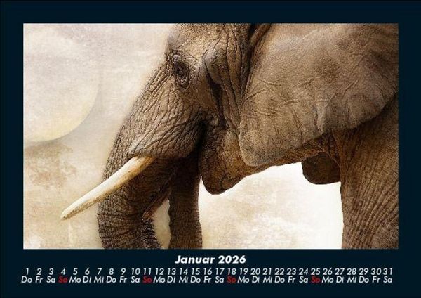 Produktbild: Tiere im Zoo 2026 Fotokalender DIN A5