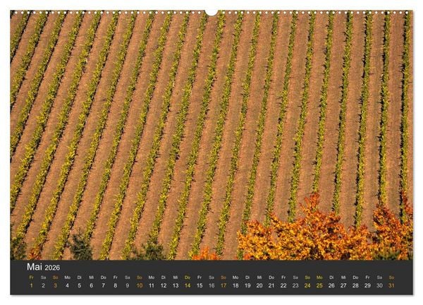 Produktbild: Die S&uuml;dsteirischen Weinstrasse (Wandkalender 2026 DIN A2 quer), CALVENDO Monatskalender