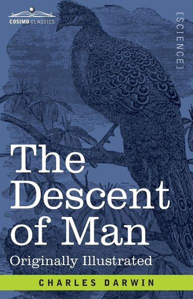 Produktbild: The Descent of Man
