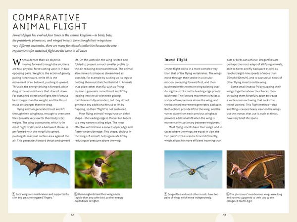Produktbild: How Birds Work