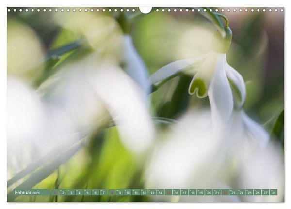 Produktbild: Die Natur hautnah (Wandkalender 2026 DIN A3 quer), CALVENDO Monatskalender
