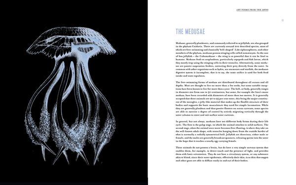 Produktbild: Art Forms from the Abyss