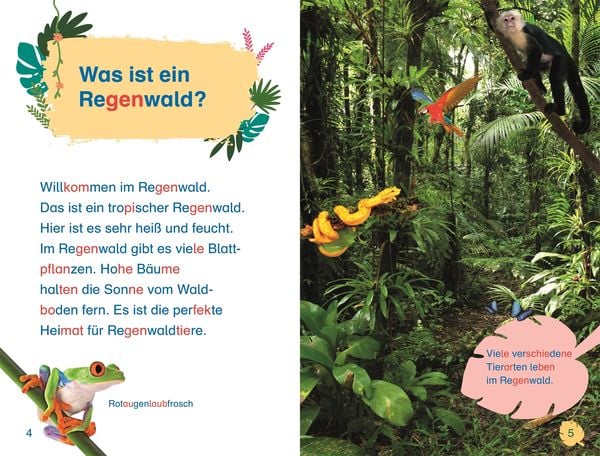 Produktbild: SUPERLESER! Kennenlern-Paket (8 B&auml;nde)