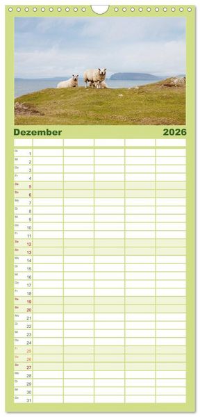 Produktbild: Familienplaner 2026 - Unter Schafen - Wegbegleiter auf Reisen mit 5 Spalten (Wandkalender, 21 x 45 cm) CALVENDO