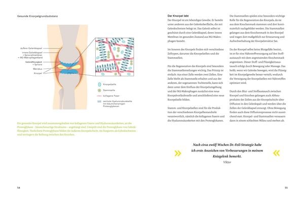 Produktbild: Arthrose endlich heilen