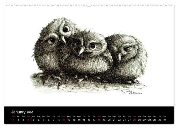 Produktbild: owls & friends 2026 (High Quality Premium Wall Calendar 2026 DIN A2 landscape),CALVENDO 12 Month Wall Calendar