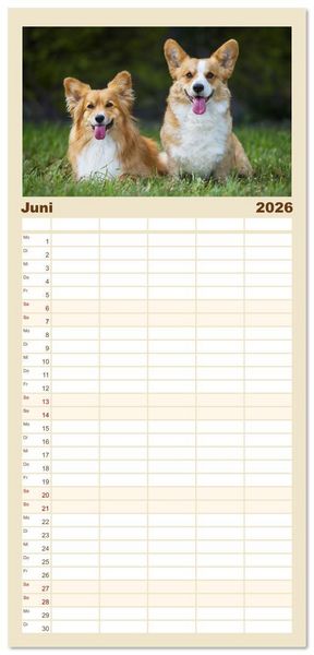 Produktbild: Familienplaner 2026 - Britische H&uuml;tehunde - Treue Freunde auf vier Pfoten mit 5 Spalten (Wandkalender, 21 x 45 cm) CALVENDO