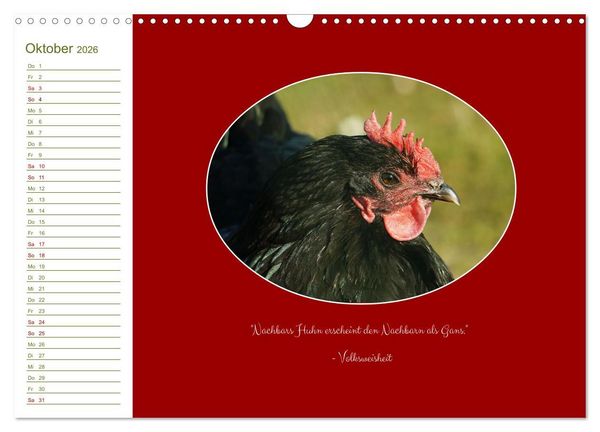 Produktbild: Freilaufende H&uuml;hner (Wandkalender 2026 DIN A3 quer), CALVENDO Monatskalender