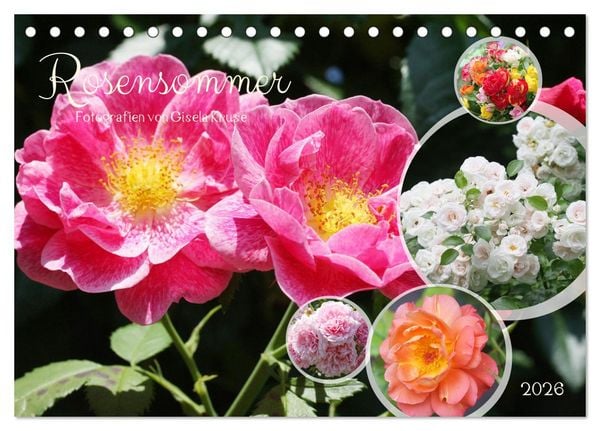 Produktbild: Rosensommer (Tischkalender 2026 DIN A5 quer), CALVENDO Monatskalender