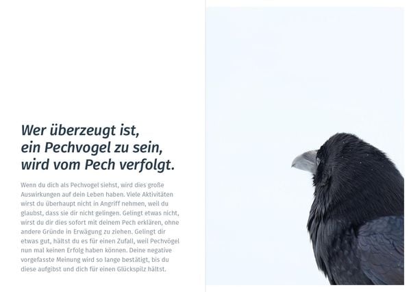 Produktbild: Wecke deine Lebensfreude