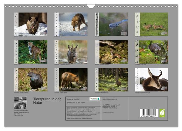 Produktbild: Tierspuren in der Natur (Wandkalender 2026 DIN A3 quer), CALVENDO Monatskalender