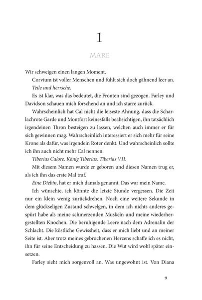 Wütender Sturm (Die Farben des Blutes 4)