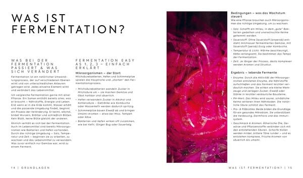 Produktbild: Fermentieren &ndash; Twist your Taste!
