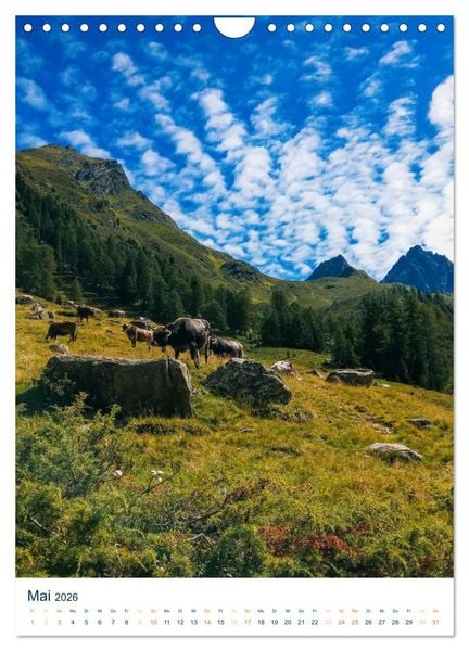 Produktbild: Sommer in &Ouml;sterreich - sonnige Tage in den Bergen (Wandkalender 2026 DIN A4 hoch), CALVENDO Monatskalender