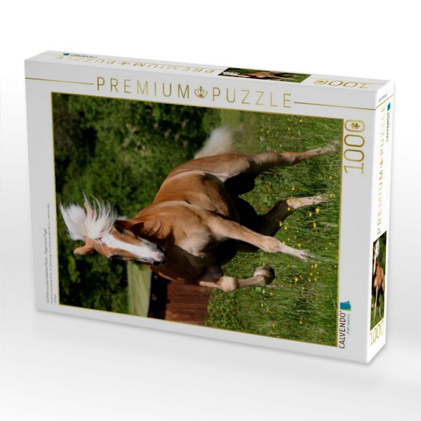 Produktbild: CALVENDO Puzzle Ein Motiv aus dem Kalender Pferde ... fliegen ohne Fl&uuml;gel | 1000 Teile Lege-Gr&ouml;&szlig;e 64x48cm Foto-Puzzle f&uuml;r gl&uuml;ckliche Stunden
