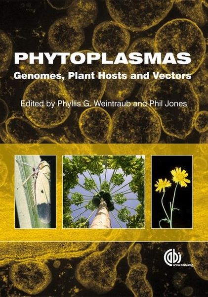 Produktbild: Phytoplasmas