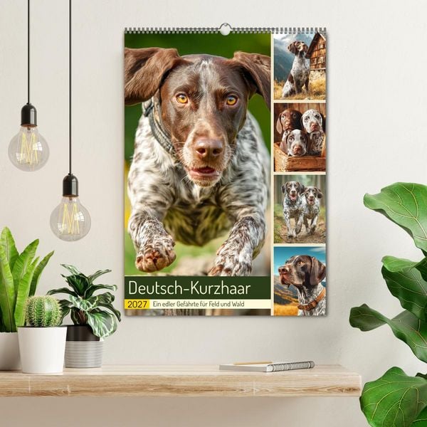 Produktbild: Deutsch-Kurzhaar. Ein edler Gef&auml;hrte f&uuml;r Feld und Wald (Wandkalender 2027 DIN A2 hoch), CALVENDO Monatskalender
