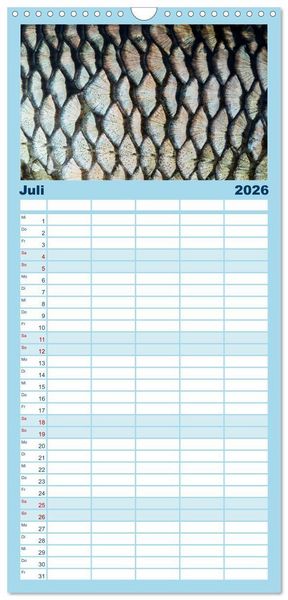 Produktbild: Familienplaner 2026 - Faszination Fische mit 5 Spalten (Wandkalender, 21 x 45 cm) CALVENDO