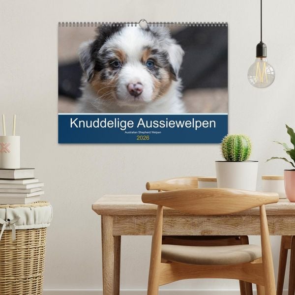 Produktbild: Australian Shepherd Welpen 2026 (Wandkalender 2026 DIN A3 quer), CALVENDO Monatskalender