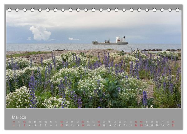 Produktbild: &Ouml;LAND - Besuch im etwas anderen Schweden 2026 (Tischkalender 2026 DIN A5 quer), CALVENDO Monatskalender
