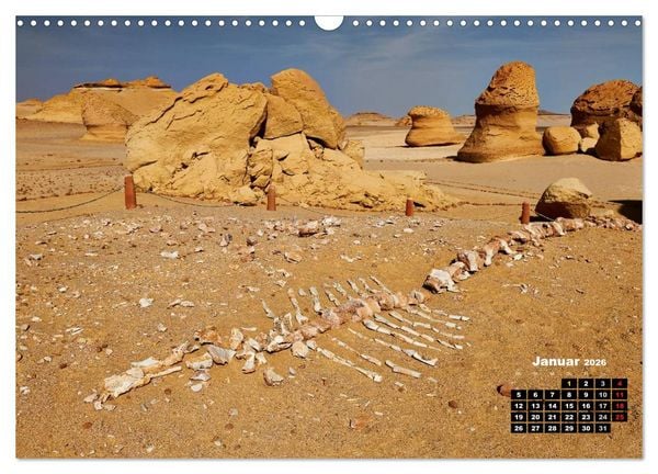 Produktbild: &Auml;gypten &ndash; westliche W&uuml;sten (Wandkalender 2026 DIN A3 quer), CALVENDO Monatskalender